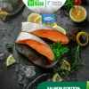 toko-belanja-segar-salmon-portion