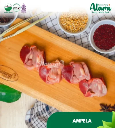 jeroan-ampela-natural-poultry
