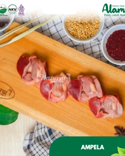 jeroan-ampela-natural-poultry