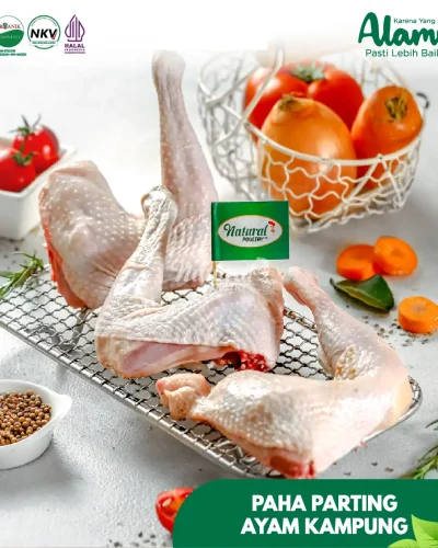 paha-parting-kampung-natural-poultry