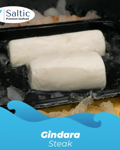 toko-belanja-segar-saltic-gindara