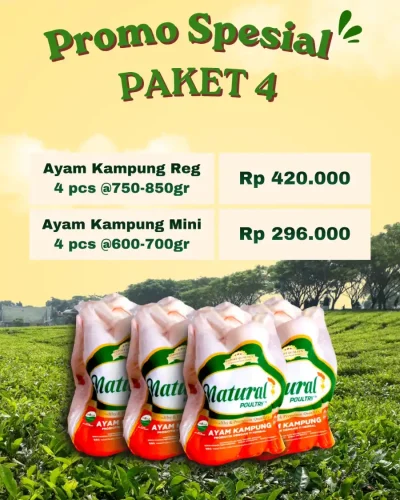 toko-belanja-segar-promo-mini-dan-reguler-natural-poultry-mei