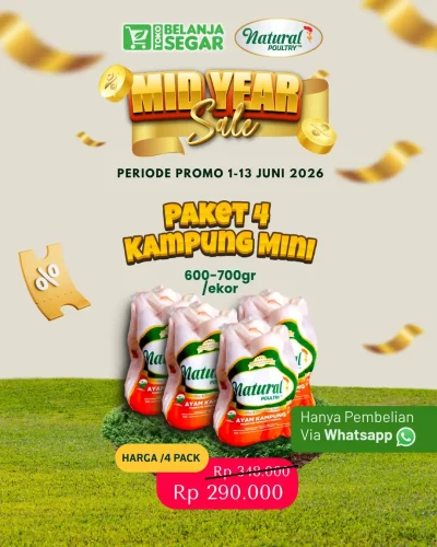 toko belanja segar promo paket 4 ayam kampung mini
