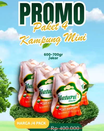 toko-belanja-segar-promo-paket-4-kampung-mini-april