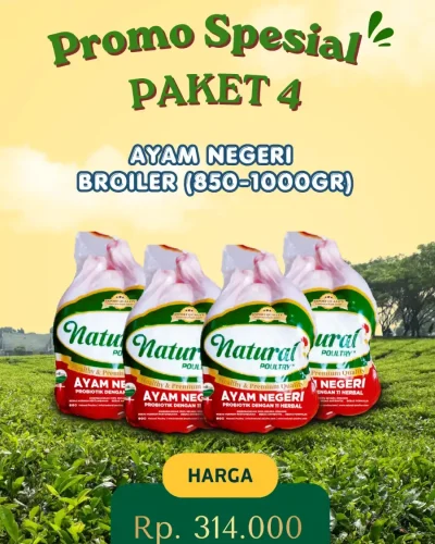 toko-belanja-segar-promo-paket-4-ayam-negeri-probioti