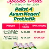 toko-belanja-segar-paket-4-ekor-ayam-negeri-natural-poultry