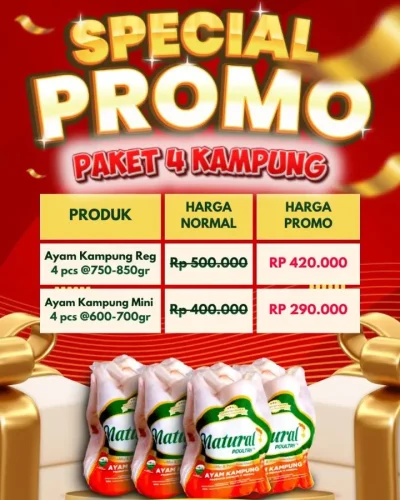 toko-belanja-segar-promo-ayam-probiotik-kampung