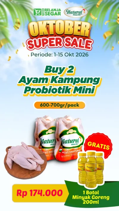 promo-paket-2-ayam-kampung-probiotik-mini